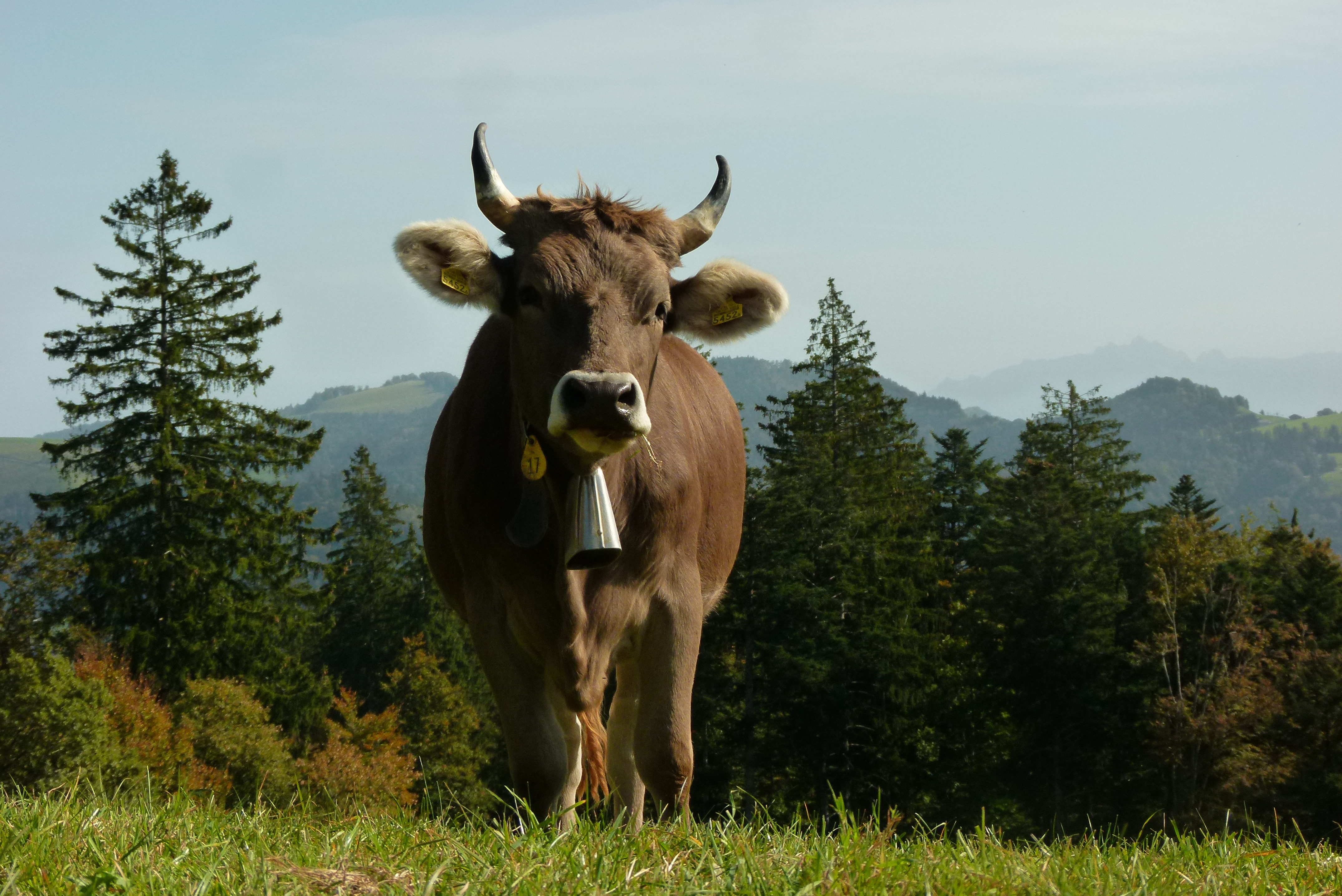 La Fête des Fromages de Savoie